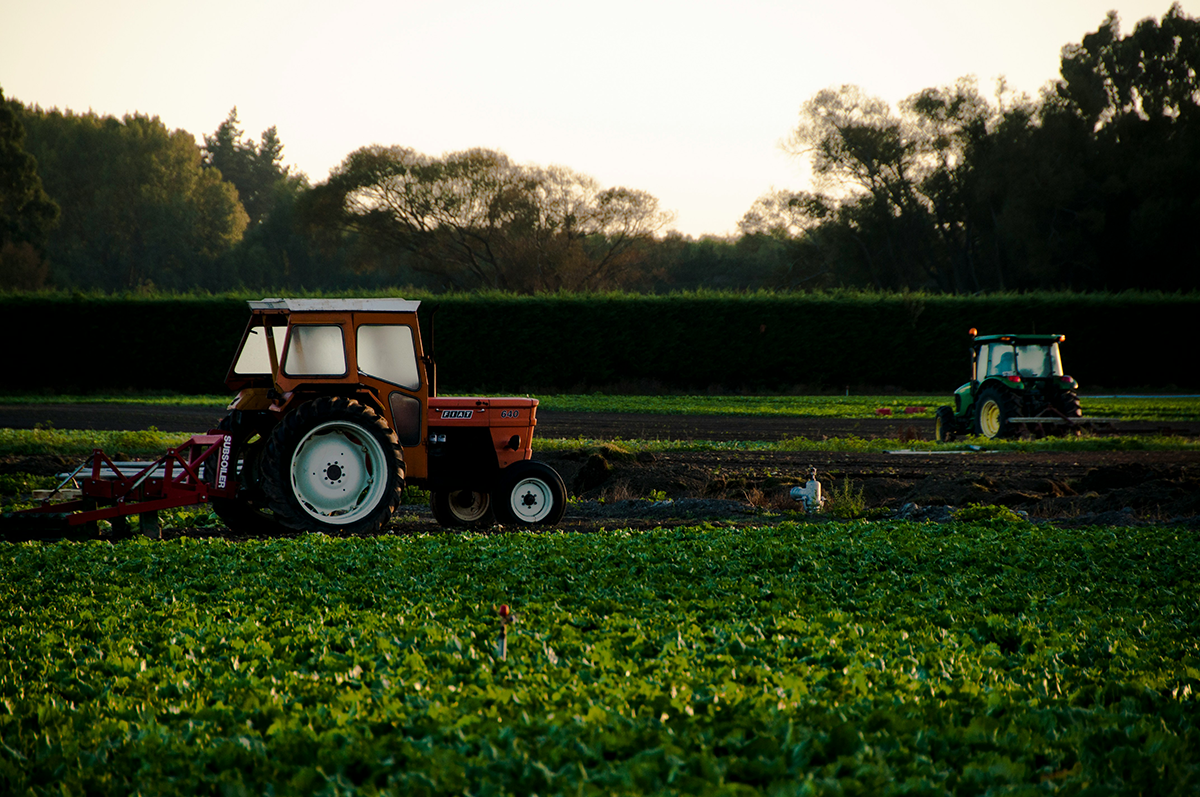 Pest-control-services Pest Control, Farm Pest Control, Tengu Services